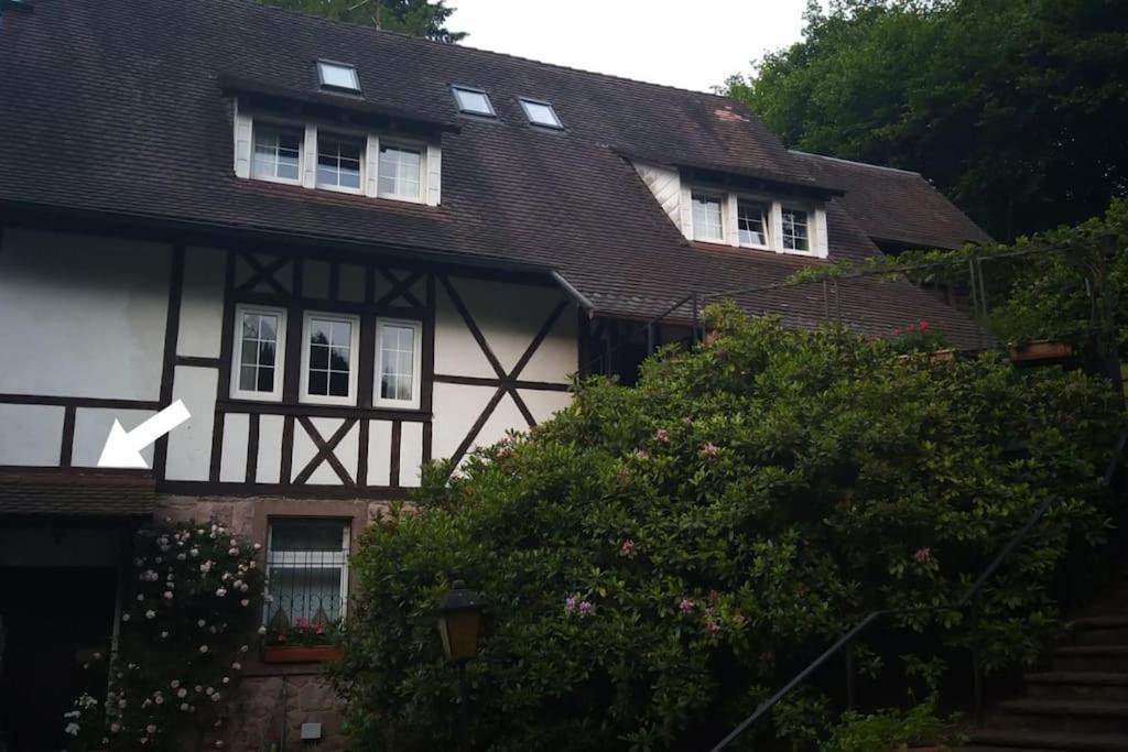 Ferienwohnung Martina & Augusto Baden-Baden Kültér fotó